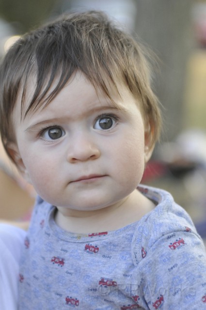 Algonkian-20080823-042.JPG - (C)RPWorks-Goldman