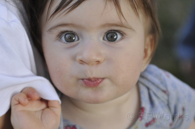 Algonkian-20080823-067.JPG - (C)RPWorks-Goldman