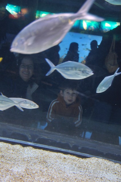 Barcelona2008-20081226-065.JPG - (C)RPWorks-Goldman