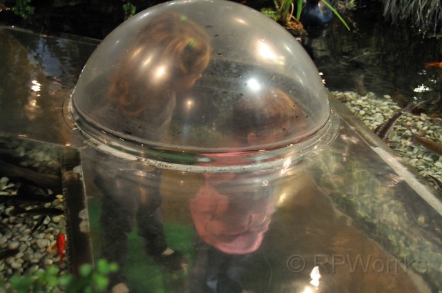 Barcelona2008-20081226-146.JPG - (C)RPWorks-Goldman