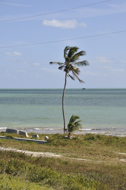 KeyWest-20080211-499.JPG