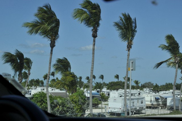 KeyWest-20080211-507.JPG