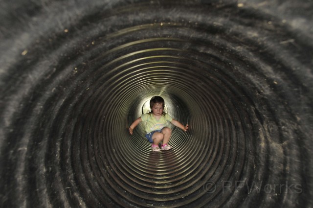 CowsNCorn-07-12-2009-106.JPG - (C)RPWorks-Goldman