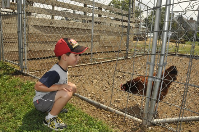 CowsNCorn-07-12-2009-65.JPG - (C)RPWorks-Goldman