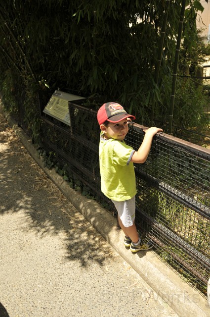 WasZOO-07-19-2009-6.JPG - (C)RPWorks-Goldman