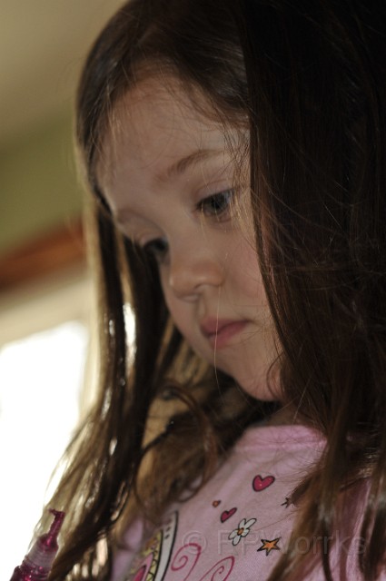 Abigail4Bday-03-29-2009-020.JPG - (C)RPWorks-Goldman