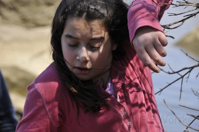 Roosvelt_Island-03-22-2009-048.JPG - (C)RPWorks-Goldman