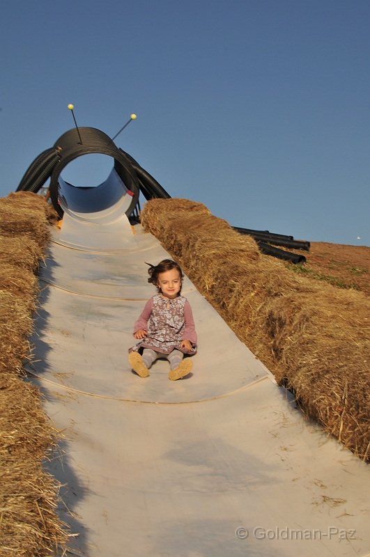 Pumpkinville09-20091108-158.JPG - (C)RPWorks-Goldman