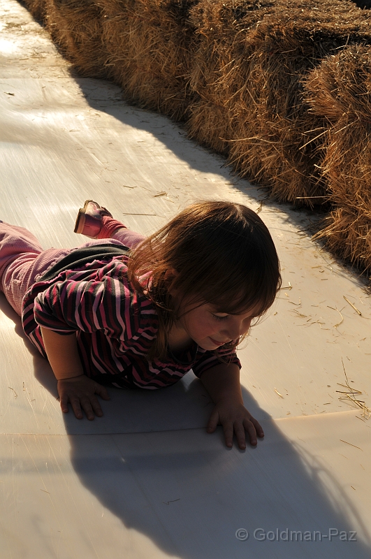 Pumpkinville09-20091108-170.JPG - (C)RPWorks-Goldman