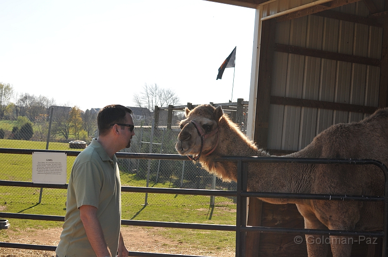 Pumpkinville09-20091108-58.JPG - (C)RPWorks-Goldman