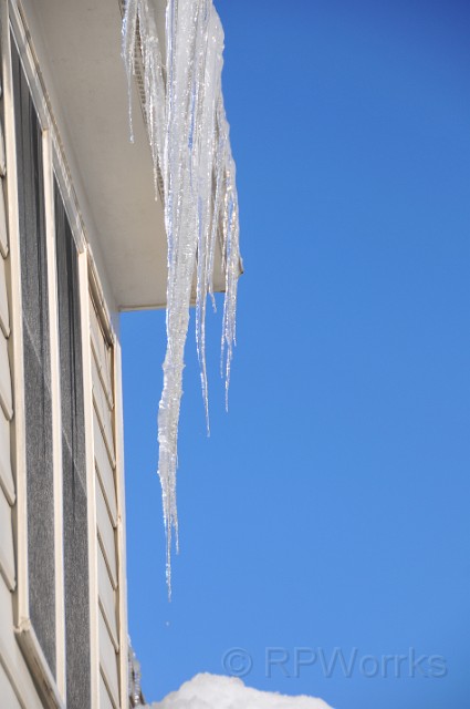 AfterSnow-20100214-16.JPG - (C)RPWorks-Goldman