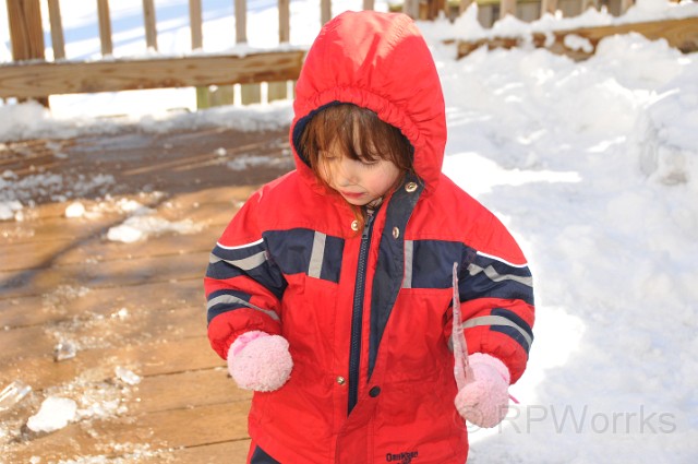 AfterSnow-20100214-51.JPG - (C)RPWorks-Goldman