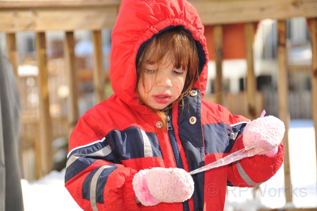 AfterSnow-20100214-55.JPG - (C)RPWorks-Goldman