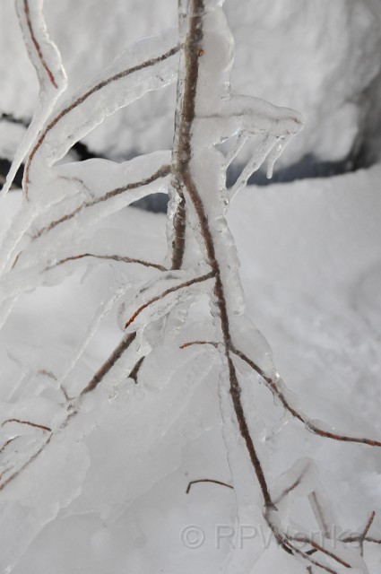 WinterStorm-20100207-7.JPG - (C)RPWorks-Goldman