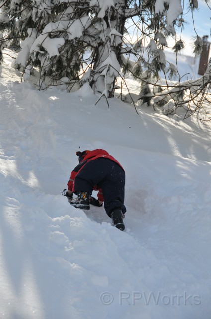 WinterStorm-20100207-84.JPG - (C)RPWorks-Goldman