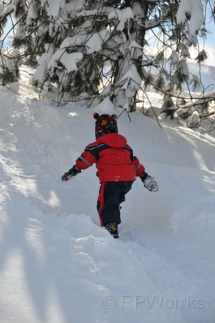 WinterStorm-20100207-85.JPG - (C)RPWorks-Goldman