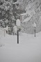 WinterStorm-20100206-49
