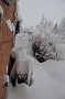 WinterStorm-20100206-53