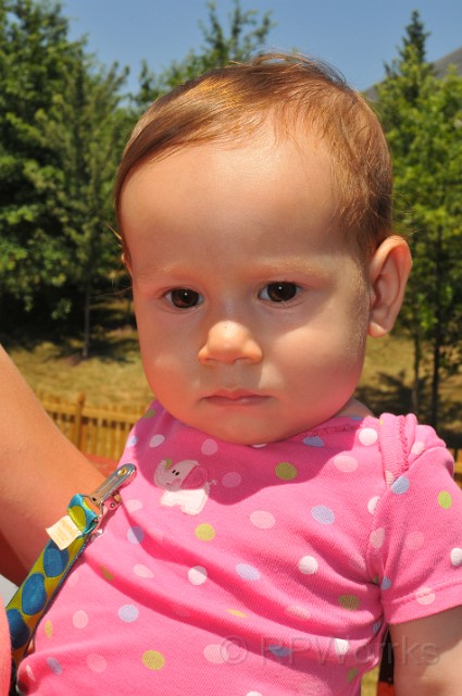 4th-July-2010-20100704-2.JPG - (C)RPWorks-Goldman