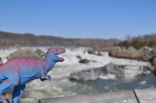 GreatFalls-Kids-20100307-30.JPG - (C)RPWorks-Goldman