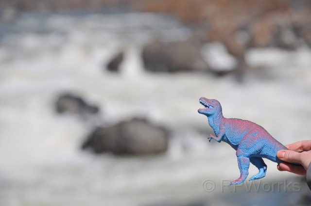 GreatFalls-Kids-20100307-38.JPG - (C)RPWorks-Goldman