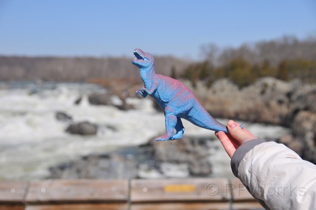 GreatFalls-Kids-20100307-39.JPG - (C)RPWorks-Goldman