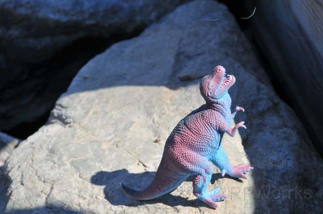 GreatFalls-Kids-20100307-46.JPG - (C)RPWorks-Goldman