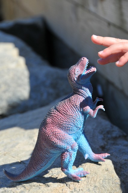 GreatFalls-Kids-20100307-55.JPG - (C)RPWorks-Goldman