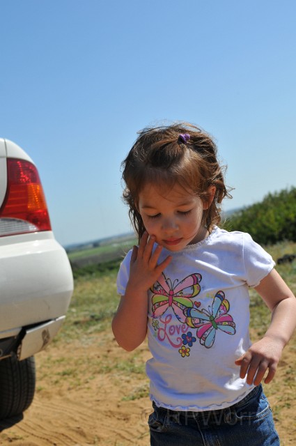 Israel2010-20100331-50.JPG - (C)RPWorks-Goldman