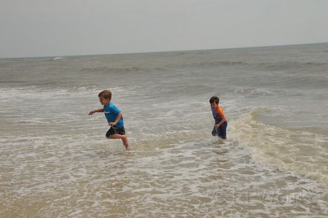 AssateagueMD-20100508-130.JPG - (C)RPWorks-Goldman