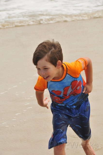 AssateagueMD-20100508-144.JPG - (C)RPWorks-Goldman