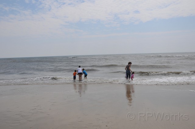 AssateagueMD-20100508-149.JPG - (C)RPWorks-Goldman