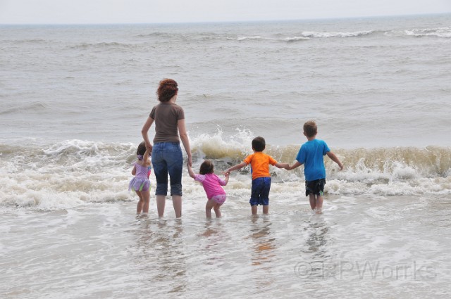 AssateagueMD-20100508-158.JPG - (C)RPWorks-Goldman