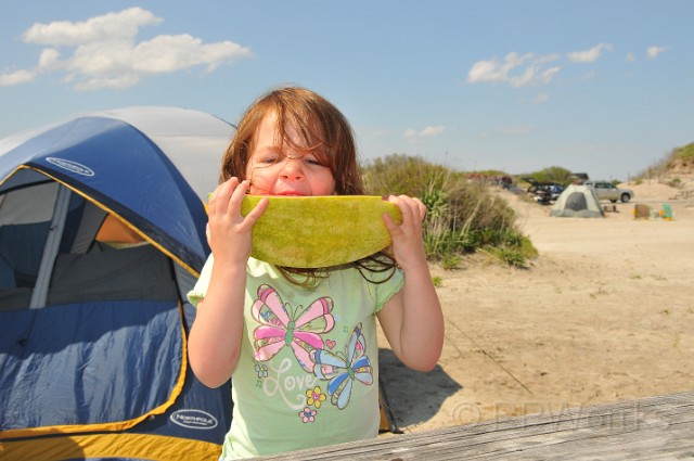 AssateagueMD-20100508-161.JPG - (C)RPWorks-Goldman