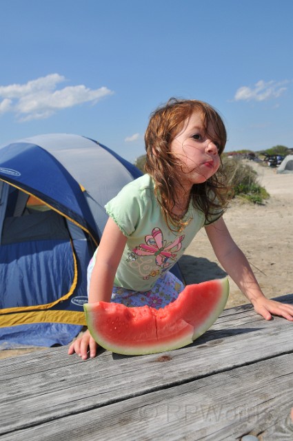 AssateagueMD-20100508-167.JPG - (C)RPWorks-Goldman