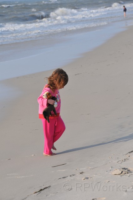 AssateagueMD-20100508-8.JPG - (C)RPWorks-Goldman