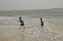 AssateagueMD-20100508-130