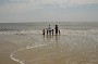 AssateagueMD-20100508-137
