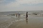 AssateagueMD-20100508-146