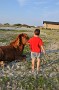 AssateagueMD-20100508-3