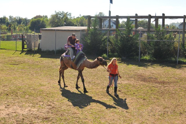 pumpkinville-20101002-197.JPG - (C)RPWorks-Goldman
