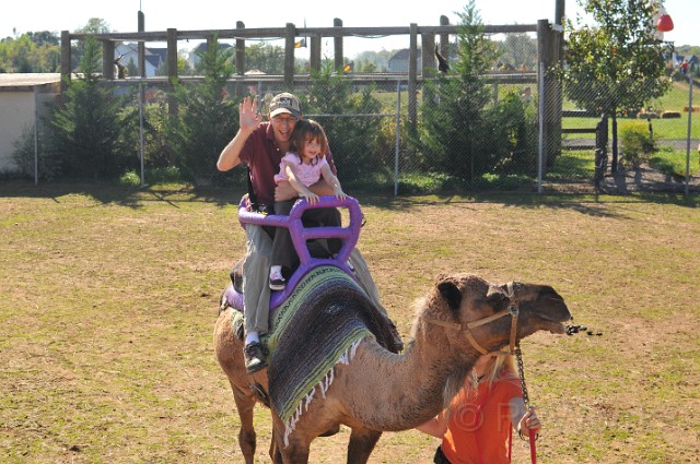 pumpkinville-20101002-202.JPG - (C)RPWorks-Goldman