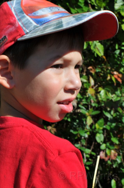 pumpkinville-20101002-66.JPG - (C)RPWorks-Goldman