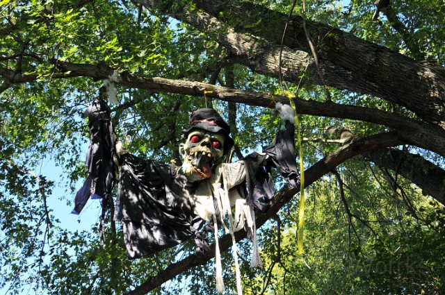 pumpkinville-20101002-68.JPG - (C)RPWorks-Goldman