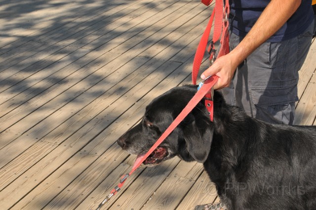 Kids-20100906-50.JPG - (C)RPWorks-Goldman