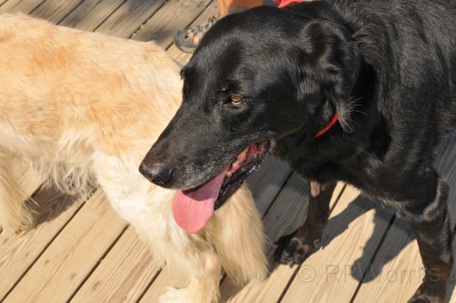 Kids-20100906-51.JPG - (C)RPWorks-Goldman